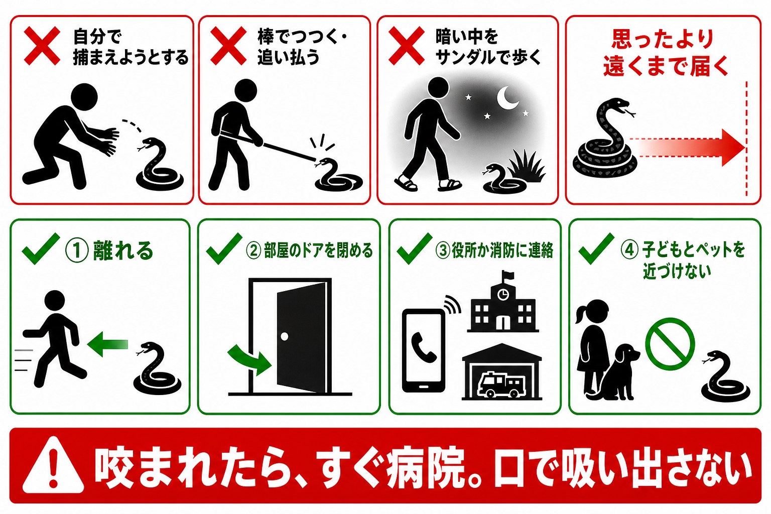 ヘビに遭遇したときにやってはいけないことと正しい対応の図